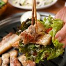 고기백과 이미지