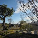 은행분식 이미지