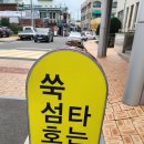 강아지&고양이 마을 | 쑥섬 여행 후기(고흥여행, 고양이마을, 별정원)