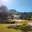 바다포토존 | 경주감포 아레나피나]바다뷰 감성대형카페 포토존가득한 인기스팟 후기