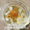 담은정 | 메리골드차 후기｜정을담은집 국산 수제 꽃차, 선물용으로도 좋은 티백