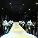 웨딩코리아 이미지