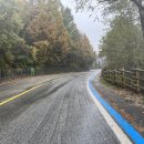 국토종주자전거길1-11 이미지