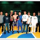 달서권투 이미지