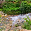 다담약국 이미지