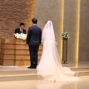 최응해친구 장남 최영삼 군 결혼식 2016.5.21(토요일)(2) 이미지