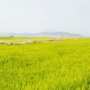 대산부동산공인중개사사무소 이미지