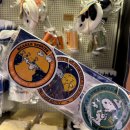 캠프11 | [성수 팝업] 스누피 캠프하우스 팝업스토어 후기 11월 팝업 도장깨기