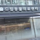 드림동물의료센터 이미지