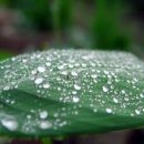 381-1-000024 이미지