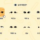 (주)아일랜드스토리 이미지