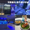 [강남/수서] 바닷속에서 강남 이색데이트 수서맛집 카페 쉘리 &amp; 캐주얼다이닝 수서점