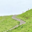 경순농장 이미지