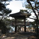 (주)대진여행사