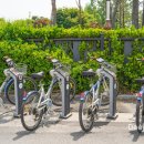 정부청사 입구(대덕대로) 이미지