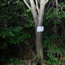 진양축산 이미지