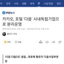 카카오, 포털 '다음' 사내독립기업으로 분리운영 이미지