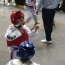 태비 튼튼태권도 이미지