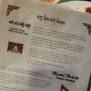 밀림식당 | 설레지 않으면 버려라 (닛커넥트 | 누울자리 '밀림 늪을 지나서 가자' 탑승 후기)