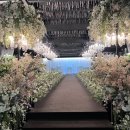 남농로(갓바위터널~제일중학교) | 목포 웨딩홀 투어 가기 전 필독 ! [스카이,예술웨딩]