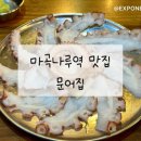 마곡나루역 맛집 문어집