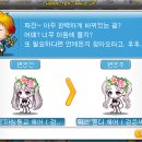 쁘띠베라 이미지