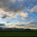 나능이 건너편 이미지