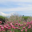 신사1-009 이미지