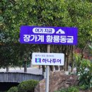 보담한의원 | 영천 새각단농원의 장가계 2일차 후기