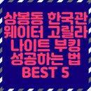 한국관 성인 나이트 이미지