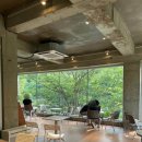 📸 저수지를 품은 힐링 카페, 공주 ‘엔학고레’ 방문 후기☕️🌿