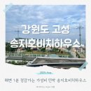 송지호 비치하우스 이미지