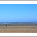 태안바다 이미지