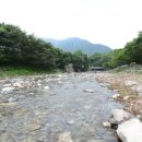 계곡위언덕펜션 이미지