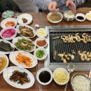 고창선운산풍천장어 | 고창 선운산 풍천장어 맛집 가성비 좋았던 장어촌
