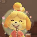 퍼피젤리 이미지