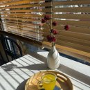 고성리 | 제주 성산 카페 고성리안 나만 알고 싶은 조용한 카페 내돈내산