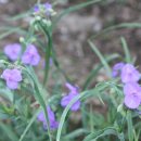 뉴금강주유소 이미지