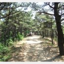 괴시1리경로당 이미지