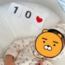 참사랑어머니회 이미지