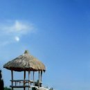 靑春-마음으로 하나 이미지