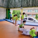 승룡체육관 이미지