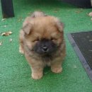 우리아이동물병원 이미지