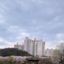 죽림 근린공원 이미지