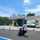 새들의 정원 | 아름다운 꽃과 새들의 하모니, 가평 베고니아새정원 방문기