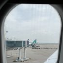 (유)대신건설 | 더위🥵💦 피해 떠난 8월 삿포로 여행✈️