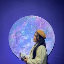 달빛미술관 이미지