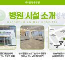 해오름동물병원 이미지