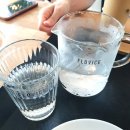 플로비스