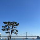 남천1-302 | [부산] 광안리 1박 2일 식도락 여행 맛집 추천ㅣ캡슐 호텔 '호텔1'